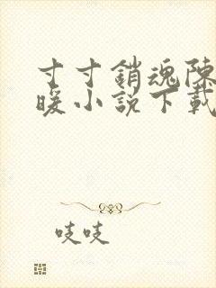 寸寸销魂陈聪王暖小说下载