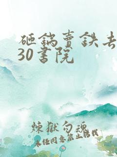 砸锅卖铁去上学30书院