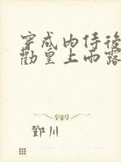 穿成内侍后总在劝皇上雨露均沾