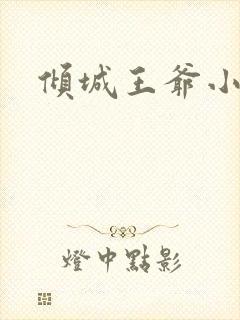 倾城王爷小小妃