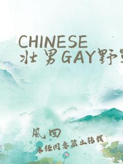 CHINESE壮男GAY野战强迫TUBE