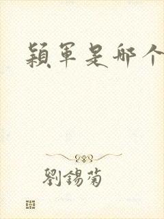 颖军是哪个军阀