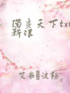 独步天下txt新浪