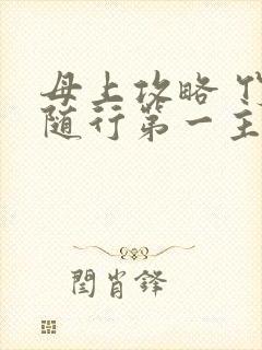 母上攻略 竹影随行第一主板