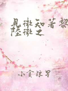 见微知著黎见卿陆微之