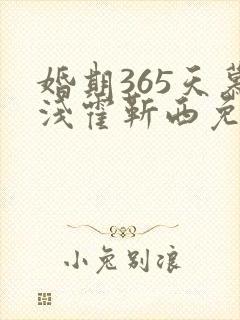 婚期365天慕浅霍靳西免费阅读