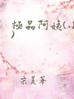 极品阿姨(小说)