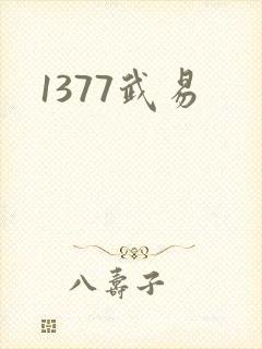 1377武易