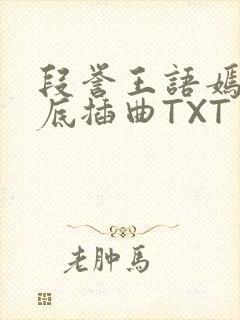 段誉王语嫣在井底插曲TXT