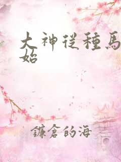 大神从种马文开始