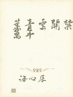 叶青云关禁闭一万年