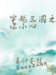 穿越三国之孔明你小心