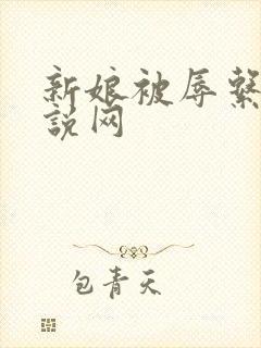 新娘被辱系列小说网