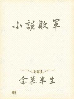 小说败军