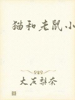 猫和老鼠小说
