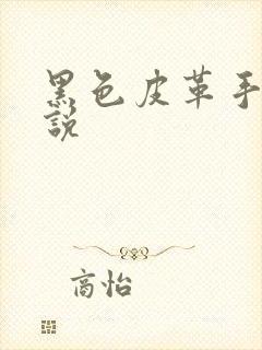 黑色皮革手册小说