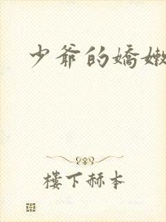 少爷的娇嫩女仆