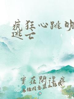 疯狂心跳明星大逃亡