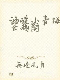 酒酿小青梅po笔趣阁