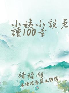 小姨小说免费阅读100章