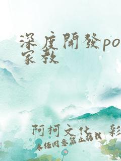 深度开发pop家教