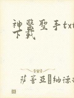 神医圣手txt下载