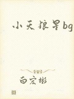 小天狼星bg