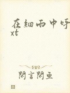 在细雨中呼喊txt