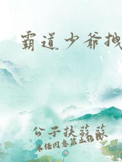 霸道少爷拽上我