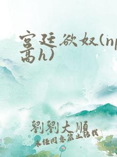 宫廷欲奴(np高h)