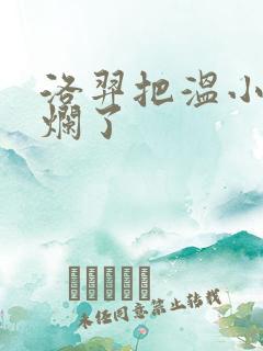 洛羿把温小辉做烂了