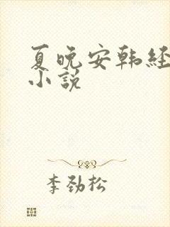 夏晚安韩经年的小说