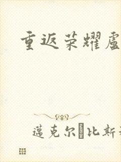 重返荣耀卢正雨