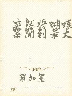 突然将蝴蝶遥控器开到最大