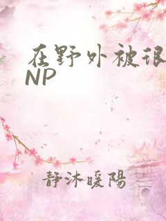 在野外被很多人NP