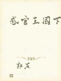 感官王国下载