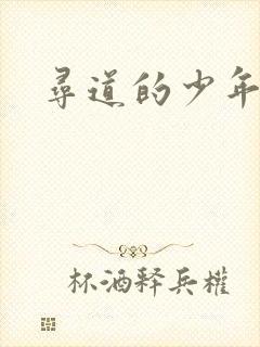 寻道的少年