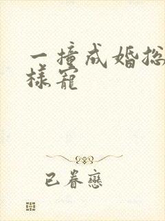 一撞成婚总裁花样宠