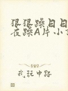 狠狠躁日日躁夜夜躁A片小说