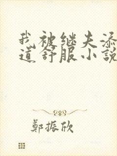 我被继夫添我阳道舒服小说