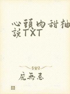 心头肉甜柚子小说TXT