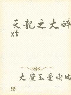 天龙之大醉侠txt