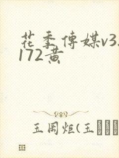 花季传媒v3.172黄