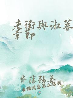 老卫与淑蓉全部章节