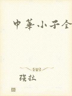 中华小子全集