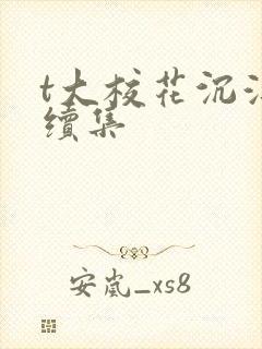 t大校花沉浮录续集