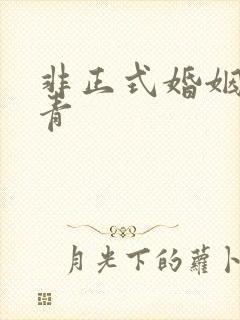 非正式婚姻雾里青