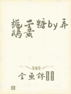 栀子糖by弄白鹅黄