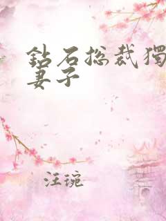 钻石总裁独宠小妻子