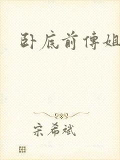 卧底前传姐妹篇